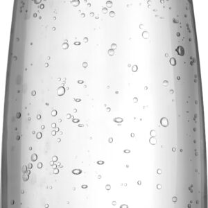 SodaStream Wassersprudler Flasche DuoPack, (Set, 2 tlg.), 1L Glasflache, Ersatzflaschen geeignet für den SodaStream Wassersprudler DUO, 2x 1L Fassungsvermögen