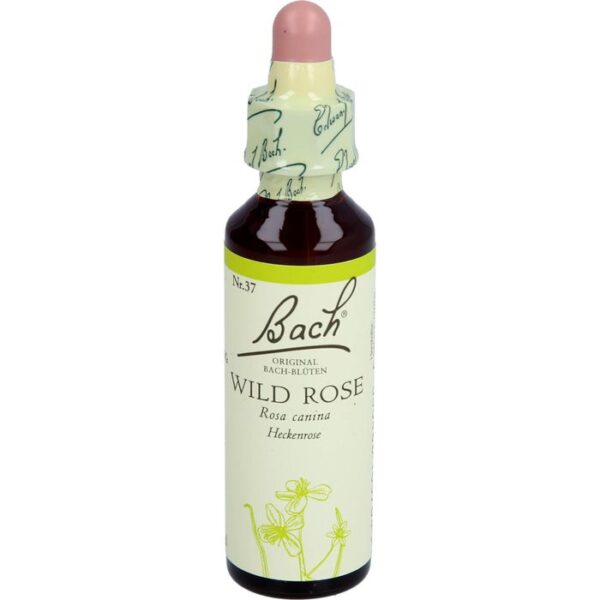 BACHBLÜTEN Wild Rose Tropfen 20 ml