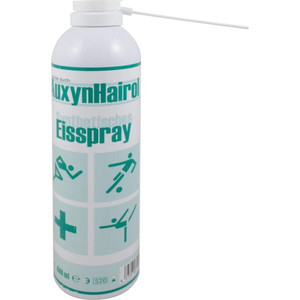 EISSPRAY 400 ml