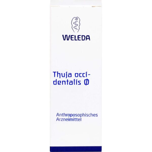 THUJA OCCIDENTALIS Urtinktur 20 ml