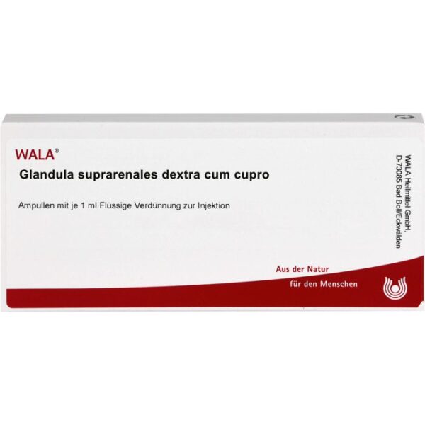 GLANDULA SUPRARENALES dextra cum Cupro Ampullen 10 ml