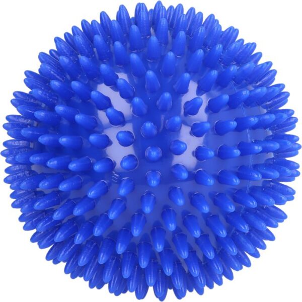 MASSAGEBALL Igelball 10 cm blau 1 St.