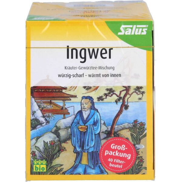 INGWER KRÄUTER-GEWÜRZTEE-Mischung Bio Salus Fbtl. 40 St.