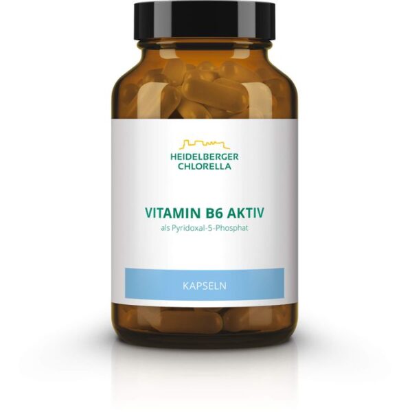 VITAMIN B6 KAPSELN 120 St.