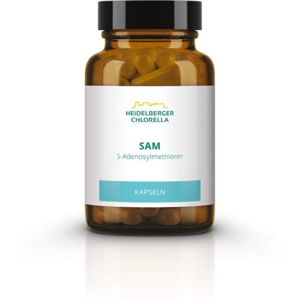 SAM S-ADENOSYLMETHIONIN Kapseln 60 St.