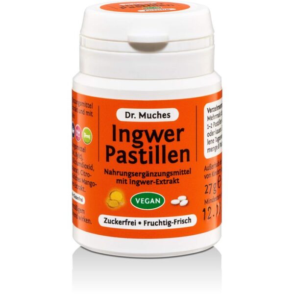 INGWER PASTILLEN Dr.Muches zuckerfrei 27 g