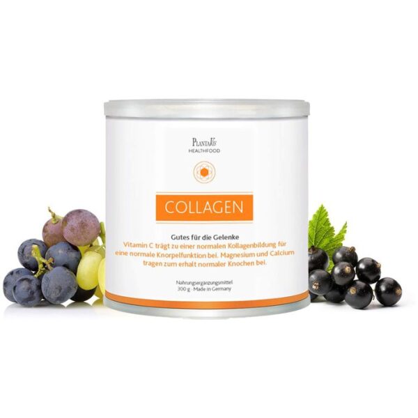 COLLAGEN GUTES für die Gelenke Pulver 300 g