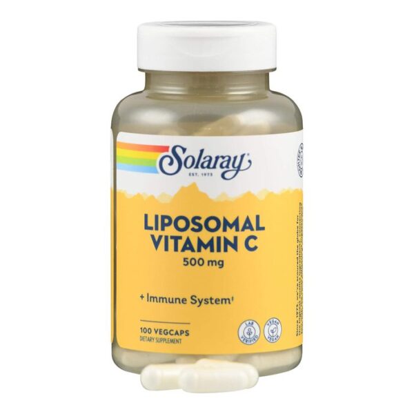 LIPOSOMALES Vitamin C 500 mg Kapseln 100 St.