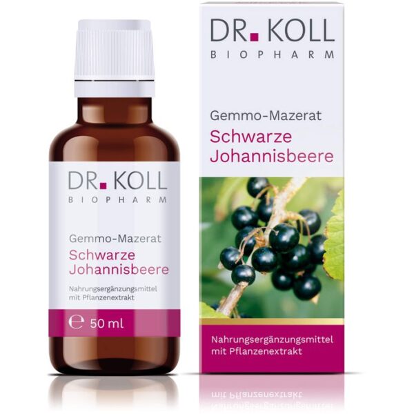 GEMMO Mazerat schwarze Johannisbeere Dr.Koll Ribes 50 ml