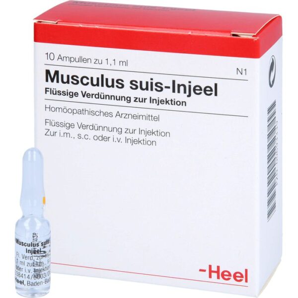 MUSCULUS SUIS Injeel Ampullen 10 St.