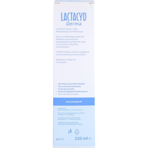 LACTACYD Derma Waschsyndet 250 ml