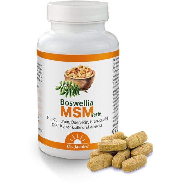 BOSWELLIA MSM forte Dr.Jacob's Tabletten 90 St.