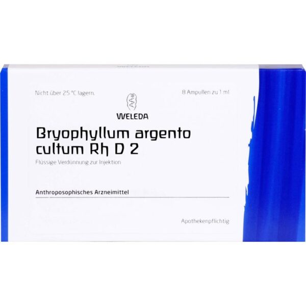 BRYOPHYLLUM ARGENTO cultum Rh D 2 Ampullen 8 ml