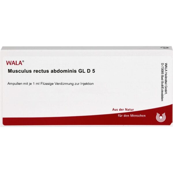 MUSCULUS RECTUS abdominis GL D 5 Ampullen 10 ml