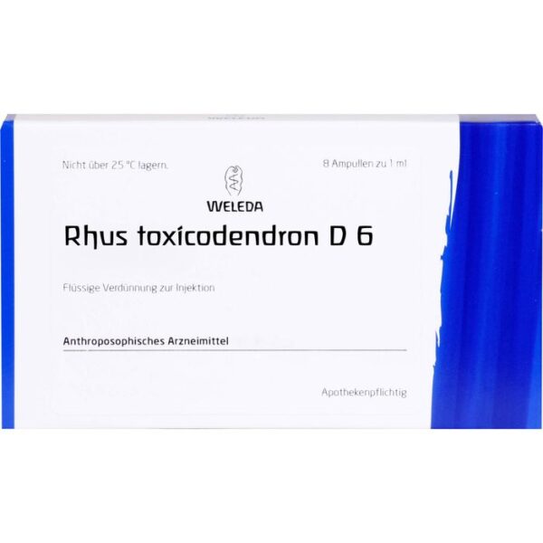 RHUS TOXICODENDRON D 6 Ampullen 8 ml