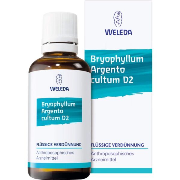 BRYOPHYLLUM ARGENTO cultum Rh D 3 Dilution 20 ml