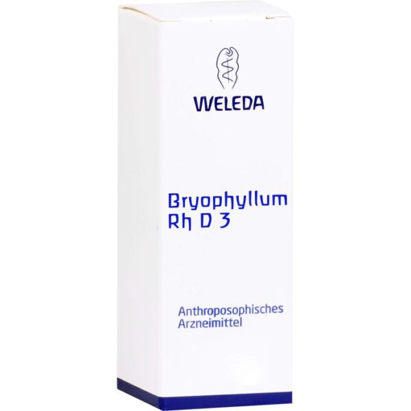 BRYOPHYLLUM RH D 3 Dilution 20 ml