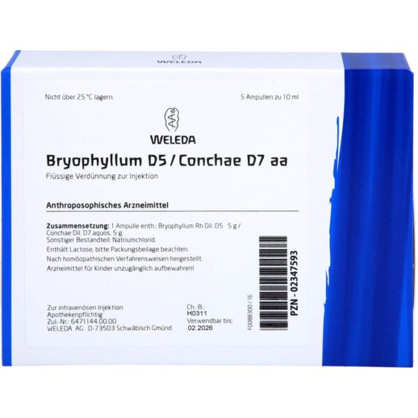 BRYOPHYLLUM D 5/Conchae D 7 Ampullen 50 ml