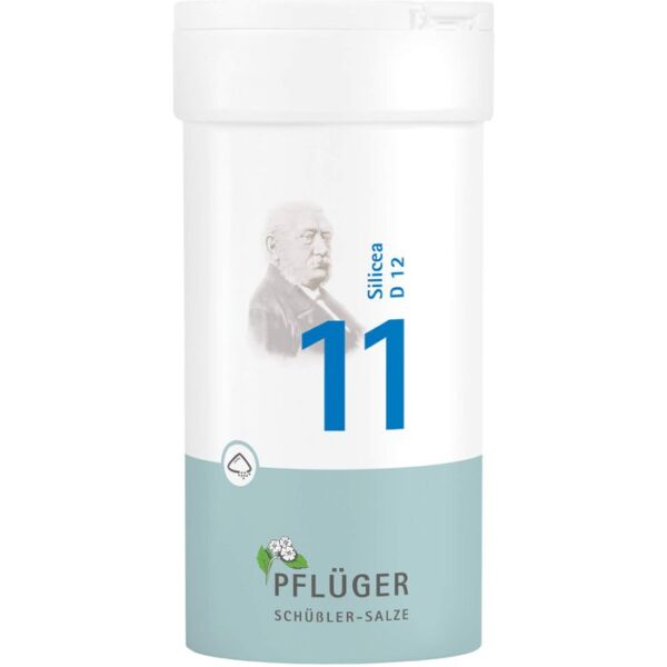 BIOCHEMIE Pflüger 11 Silicea D 12 Pulver 100 g